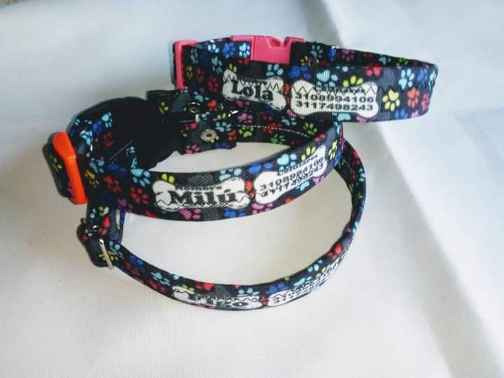 Collares personalizados – Nylon neopreno